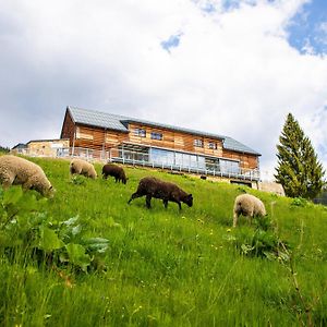 Amenity Hotel & Resort Spindleruv Mlyn